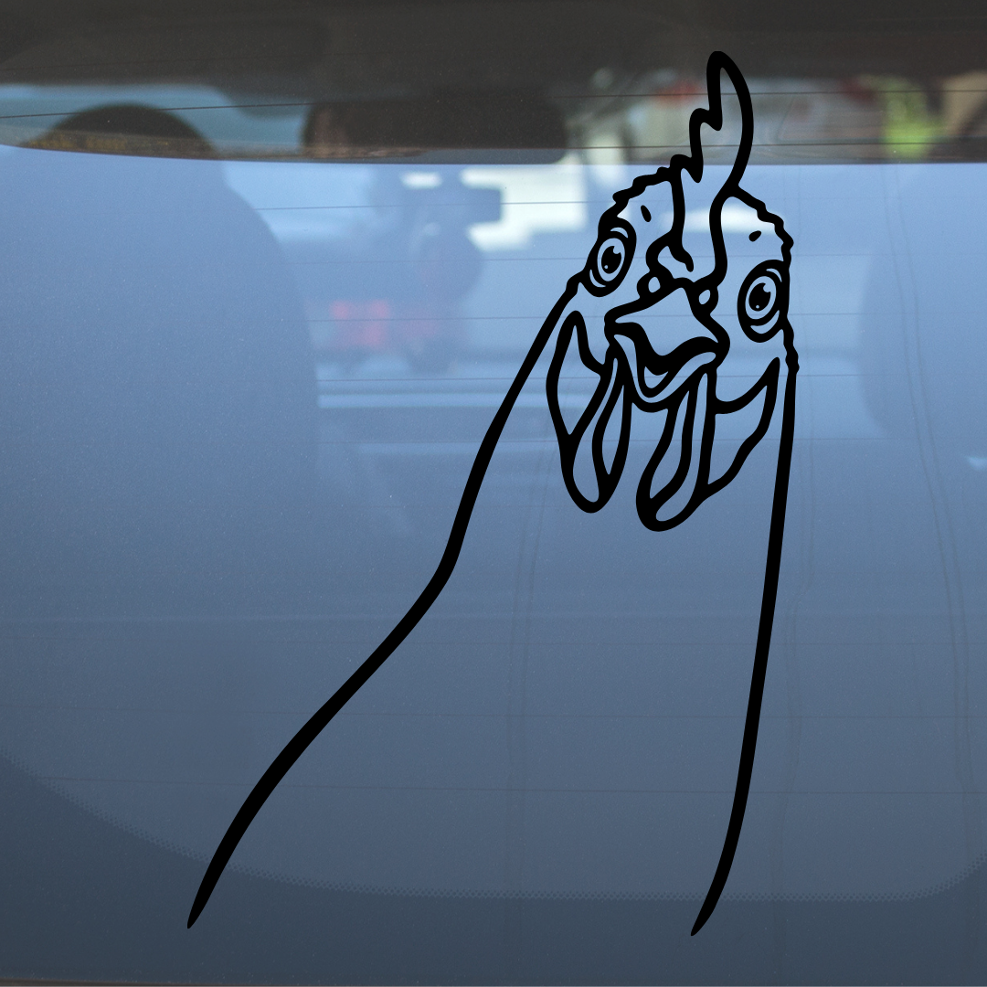 Curious Chicken – Vinyl Decal – Car Decal, Truck Decal, Van Decal & More!